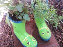 Rain Boot Herb Garden