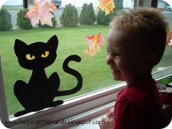 Hero Cat