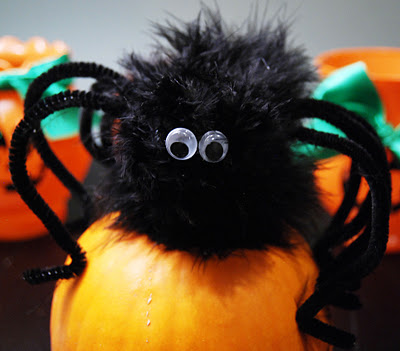 Easy Fuzzy Spider