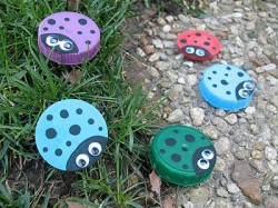 Plastic Lid ladybugs