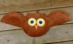 Paper Plate Owl