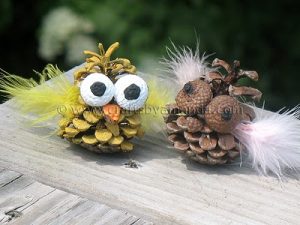 pinecone-owl3