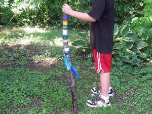walking-stick-2