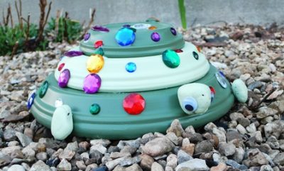 Garden Turtle