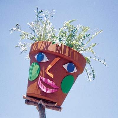 Mrs. Green Beans