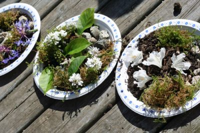 Paper Plate Gardens