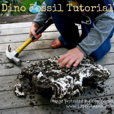 Dino Fossils 