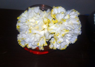 Color Changing Flowers