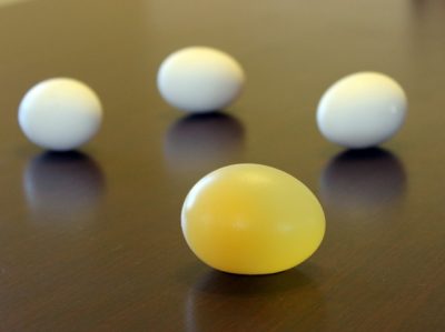 Naked Egg Experiment