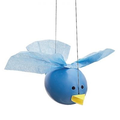 Egg Bluebird