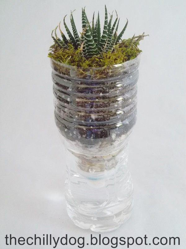 Plastic Water Bottle Vase | Fun Family Crafts