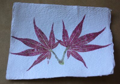 Hammered Flower Leaf Prints