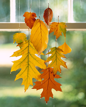 Waxed Hanging Leaves