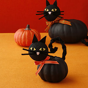 Cat Pumpkins