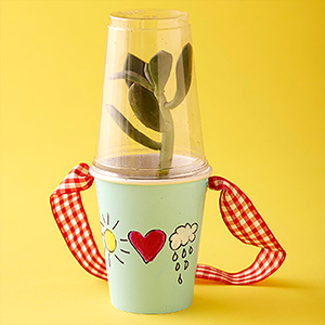 Paper Cup Terrarium