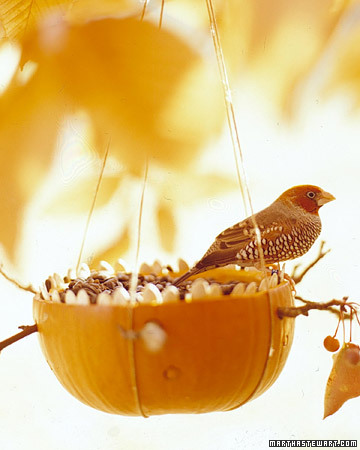 Pumpkin Bird Feeder