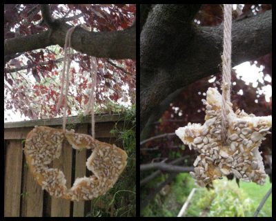 Edible Ornaments for Wildlife