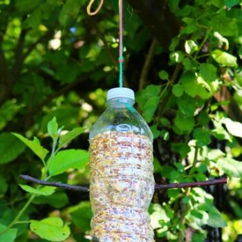 bottle bird feeder