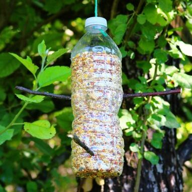 Ice Cube Bird Feeders  DIY Bird Feeder Ice Ornaments