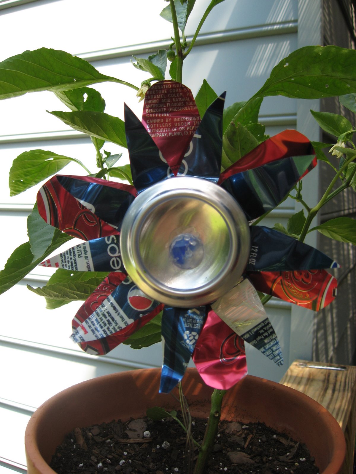 Soda Can Flower | Fun Family Crafts
