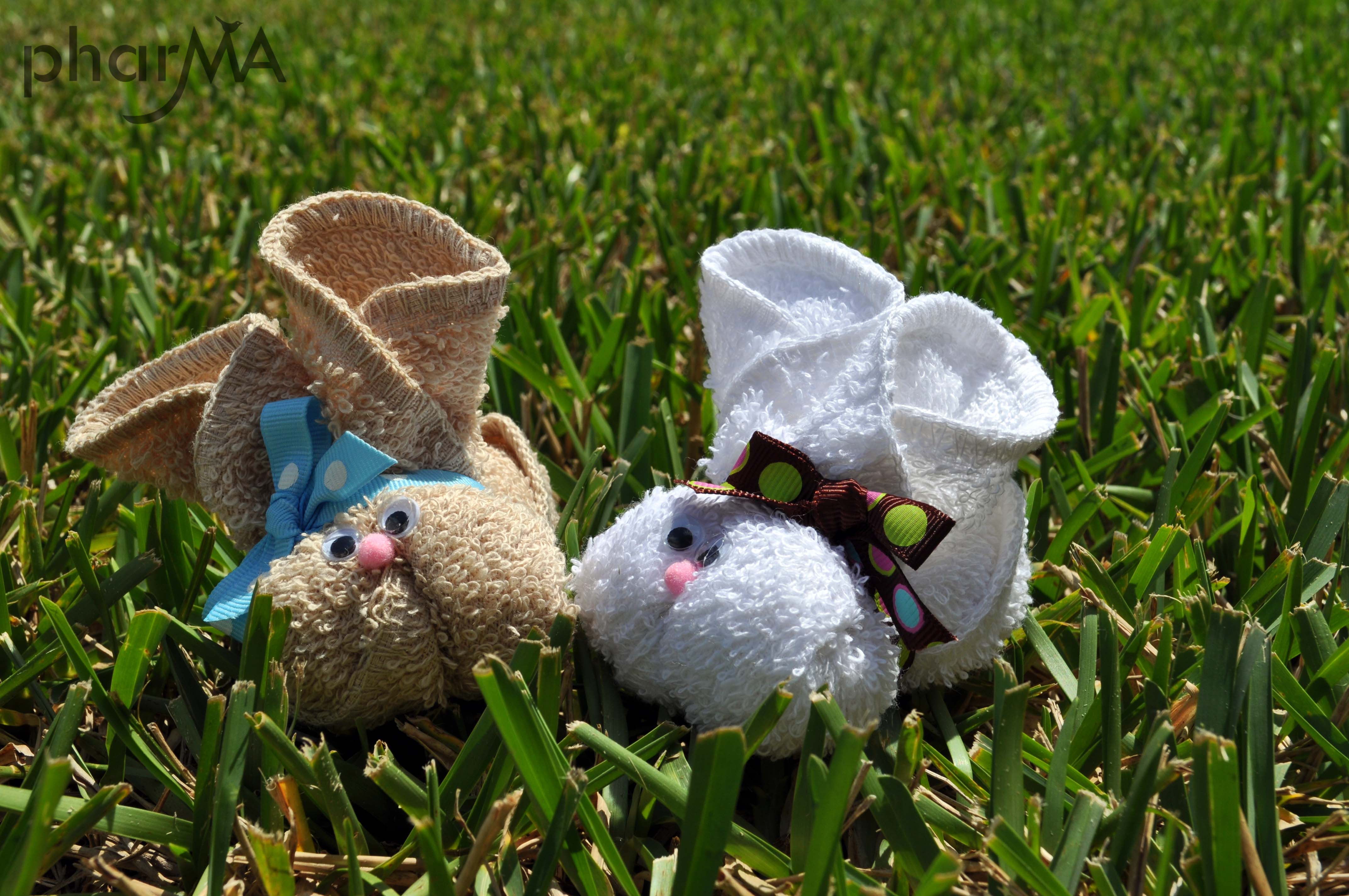 Boo Boo Bunnies Fun Family Crafts