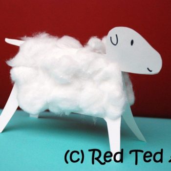 3D Woolly Lamb
