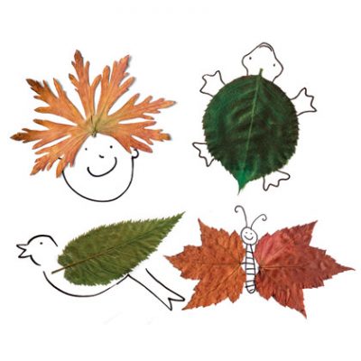 Foliage Friends