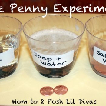 The Penny Experiment