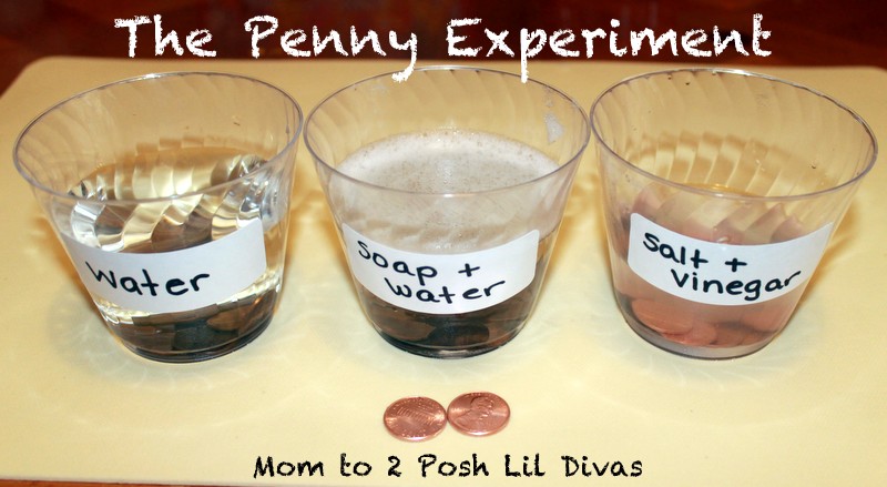 Shiny Penny Science Experiment