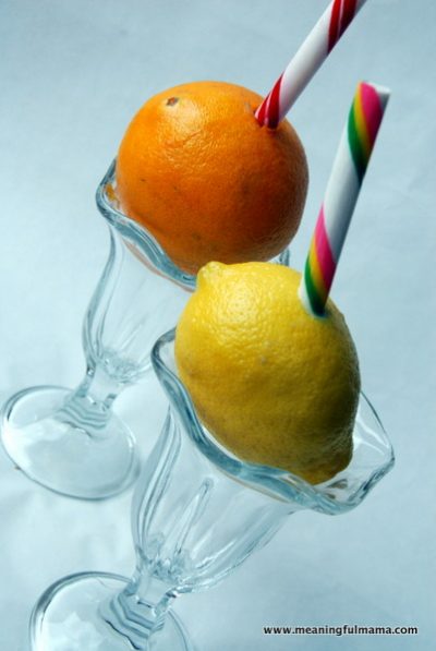 Citrus Fruits with Candy Stick Straws