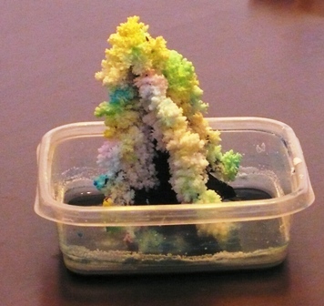 salt crystal tree experiment