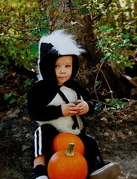 Toddler Skunk Costume
