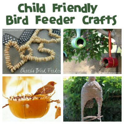 Make a homemade bird feeder! February is National Bird Feeding Month