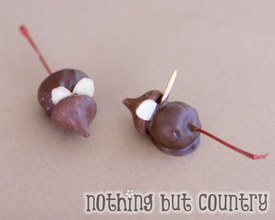Chocolate Cherry Mice