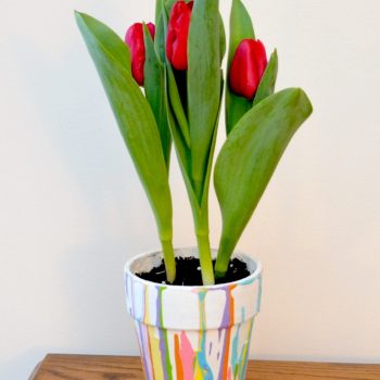 Paint Drip Flowerpot