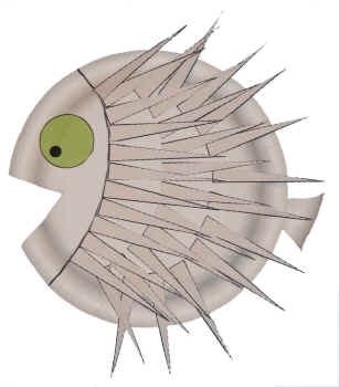 Paper Plate Porcupine Fish
