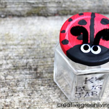 Ladybug Bug Jar