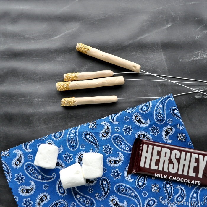 DIY S'more Roasters | Fun Family Crafts
