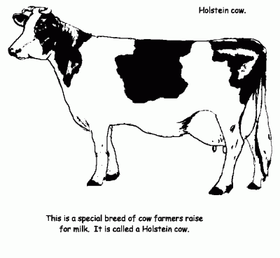 Cow Printable Coloring Page