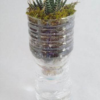 Plastic Water Bottle Vase