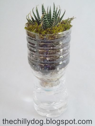 Plastic Water Bottle Vase
