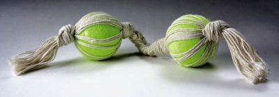 Tennis Ball Dog Toy