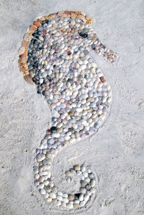 Shell Beach Art