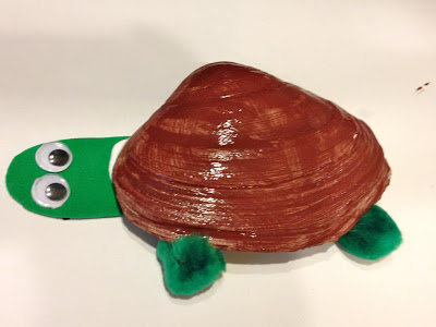 Seashell Turtle