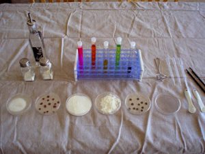 Toddler Chemistry Lab | Fun Family Crafts