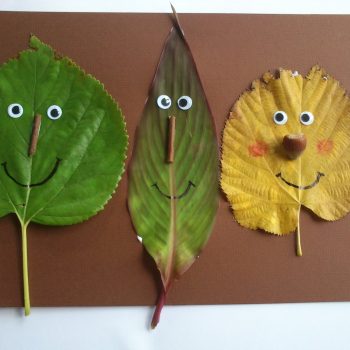 Faces from Fall Leaves