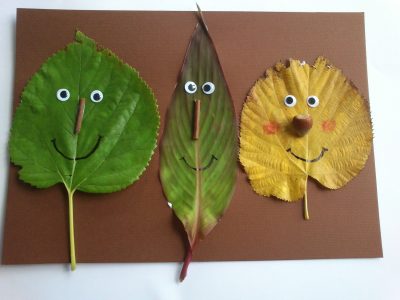 Faces from Fall Leaves