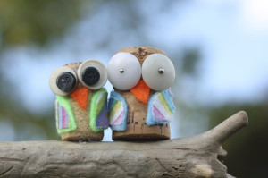 Cork Owls