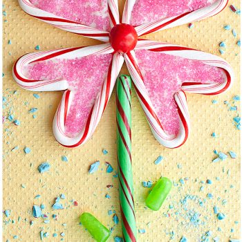 Candy Cane Flower Puzzle