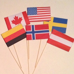 Olympic Flag Crafts